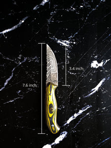 Pointer- Damascus knife/ Sharp point/ Hunting/ EDC