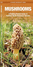 Load image into Gallery viewer, Simon &amp; Schuster - Mushrooms by James Kavanagh