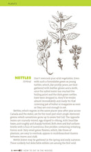 Load image into Gallery viewer, Hachette Book Group - How to Eat in the Woods