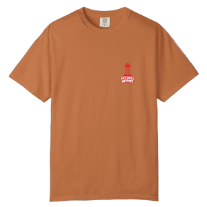 Catskill Outpost Firetower T-Shirt