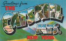 Load image into Gallery viewer, Found Image Press - Postcard NS-767 Greetings from the Catskill Mountains, New Y