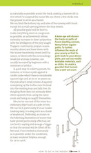 Load image into Gallery viewer, Hachette Book Group - How to Eat in the Woods