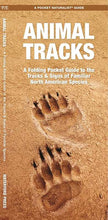 Load image into Gallery viewer, Simon &amp; Schuster - Animal Tracks by James Kavanagh