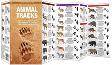 Load image into Gallery viewer, Simon &amp; Schuster - Animal Tracks by James Kavanagh