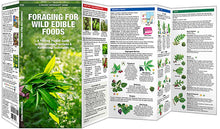 Load image into Gallery viewer, Simon &amp; Schuster - Foraging for Wild Edible Foods by James Kavanagh