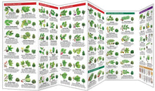 Load image into Gallery viewer, Simon &amp; Schuster - Trees by James Kavanagh