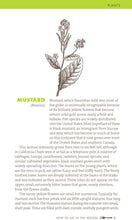 Load image into Gallery viewer, Hachette Book Group - How to Eat in the Woods