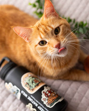 Load image into Gallery viewer, Keep Nature Wild - Toadstool Tabby | Sticker