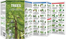 Load image into Gallery viewer, Simon &amp; Schuster - Trees by James Kavanagh