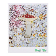 Load image into Gallery viewer, Real Sic - Mushroom Pin - Amanita Muscaria Enamel lapel Pin Shroom Pins