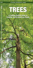 Load image into Gallery viewer, Simon &amp; Schuster - Trees by James Kavanagh