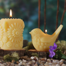 Load image into Gallery viewer, Big Dipper Wax Works - Beeswax Song Birds Novelty Candle