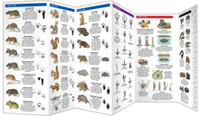 Load image into Gallery viewer, Simon &amp; Schuster - Animal Tracks by James Kavanagh