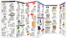 Load image into Gallery viewer, Simon &amp; Schuster - Mushrooms by James Kavanagh