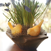 Load image into Gallery viewer, Big Dipper Wax Works - Beeswax Song Birds Novelty Candle
