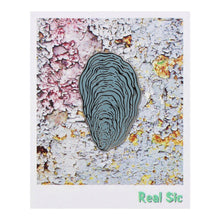 Load image into Gallery viewer, Real Sic - Oyster Shell Enamel Lapel Pin