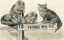 Load image into Gallery viewer, Found Image Press - Postcard NS-823 Cats on Catskill Mts. Sign