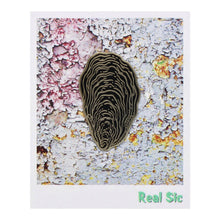 Load image into Gallery viewer, Real Sic - Oyster Shell Enamel Lapel Pin