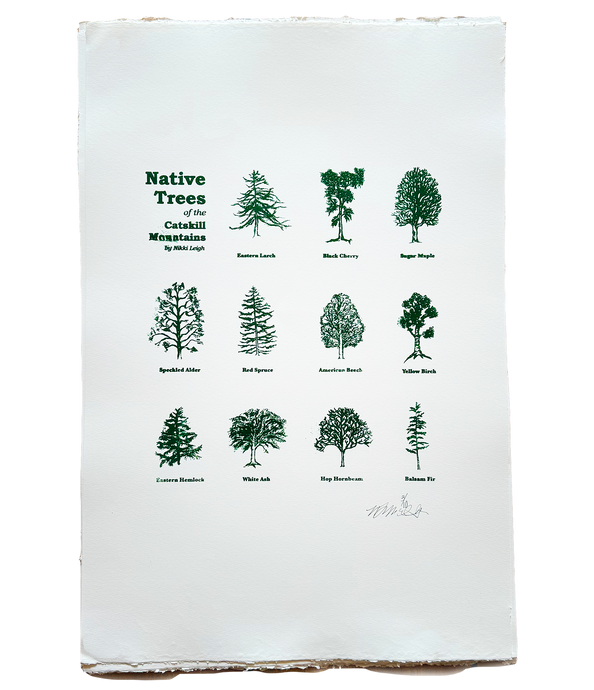 Native Trees of The Catskills Poster