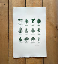 Load image into Gallery viewer, Native Trees of The Catskills Poster