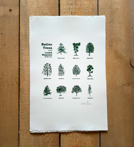 Native Trees of The Catskills Poster