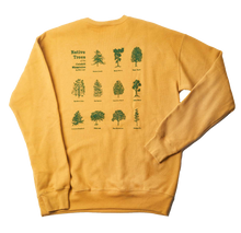 Load image into Gallery viewer, Native Trees of the Catskills Sweatshirt