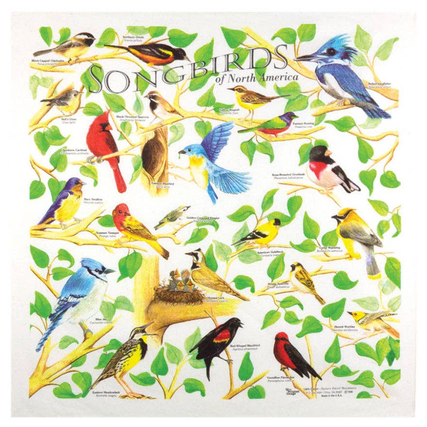 One Bay Distribution - Printed Image Songbirds Bandanna