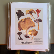Load image into Gallery viewer, Small Mushroom Poster Print by Renee 8x10