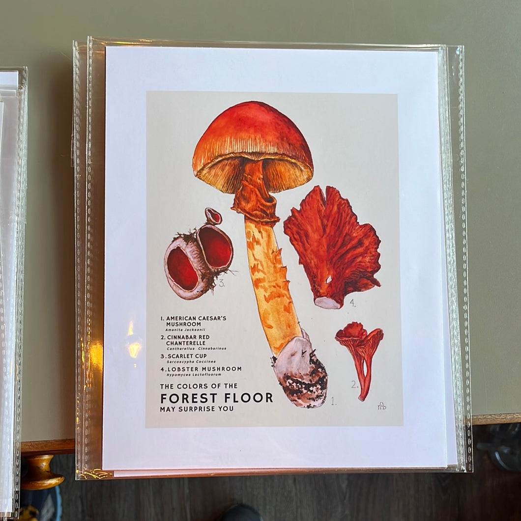 Small Mushroom Poster Print by Renee 8x10