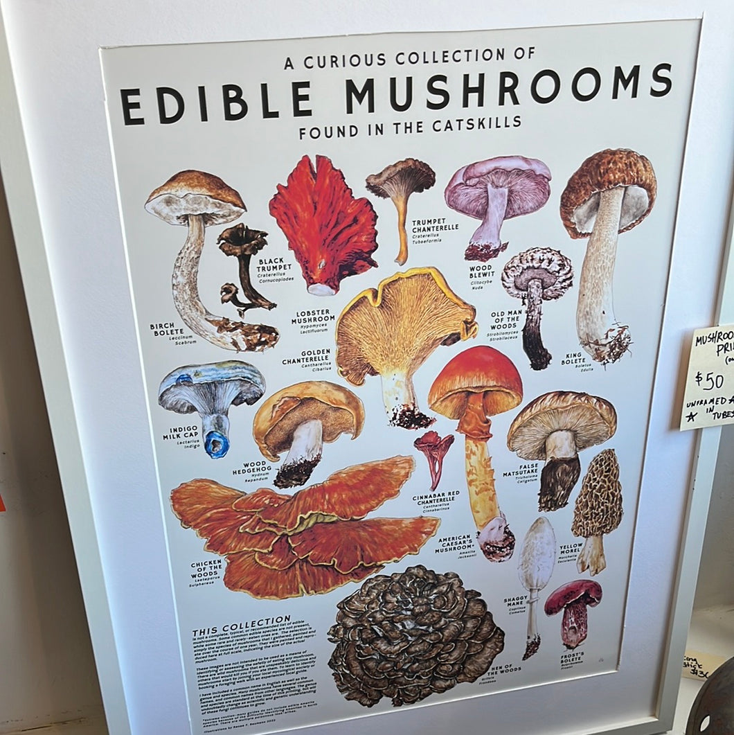 Mushroom Poster Print by Renee