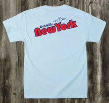 Load image into Gallery viewer, Catskills Summer of 75&#39; T-Shirt (Light Blue)