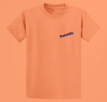 Load image into Gallery viewer, Catskills Summer of 75&#39; T-Shirt (Orange)